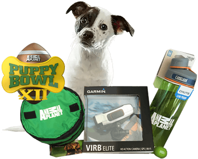 Prize Pack
